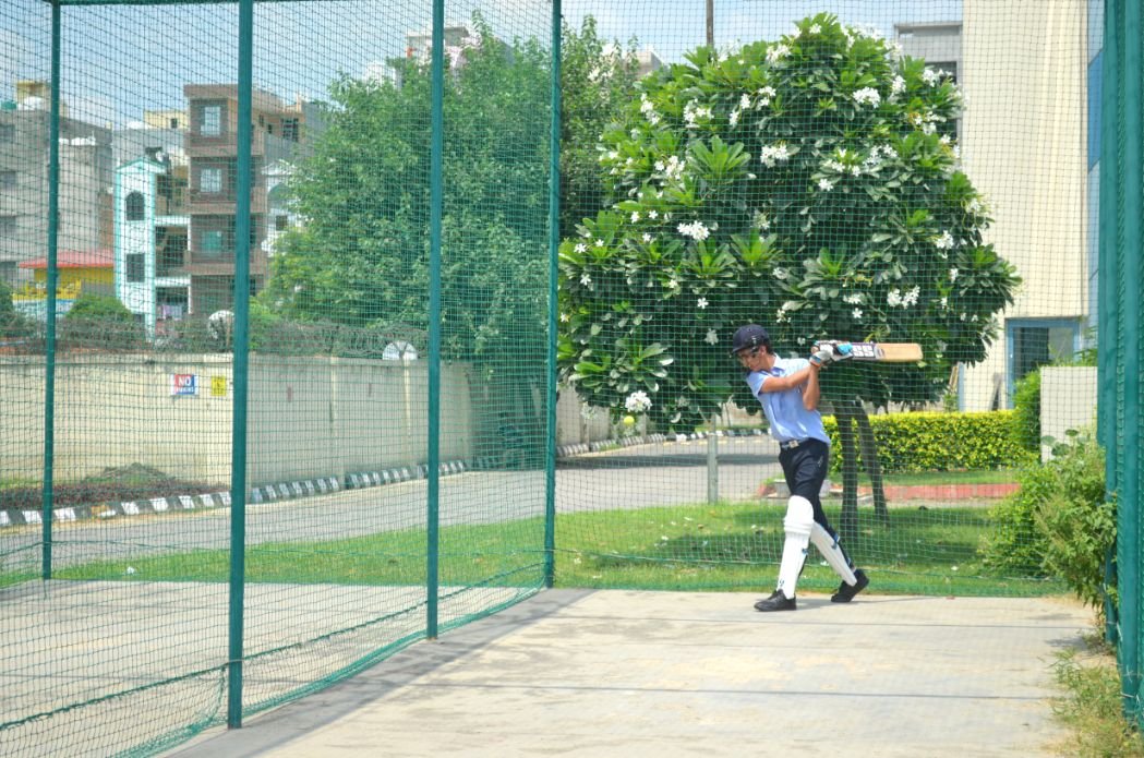 Cricket Turf